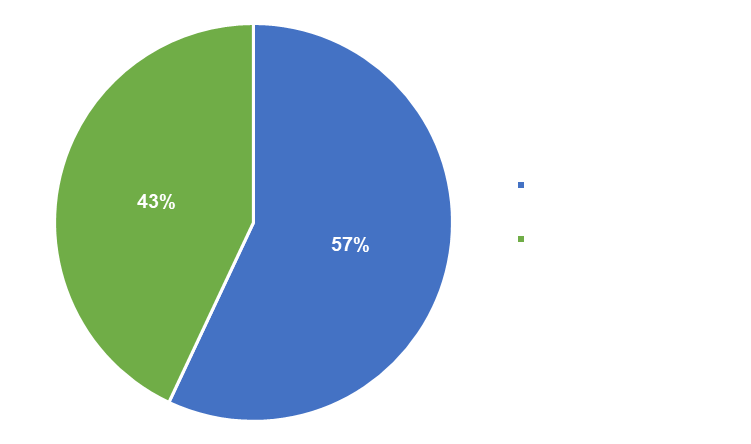 Migrationshintergrund 31.12.24 Kreisdiagramm Menschen mit Migrationshintergrund